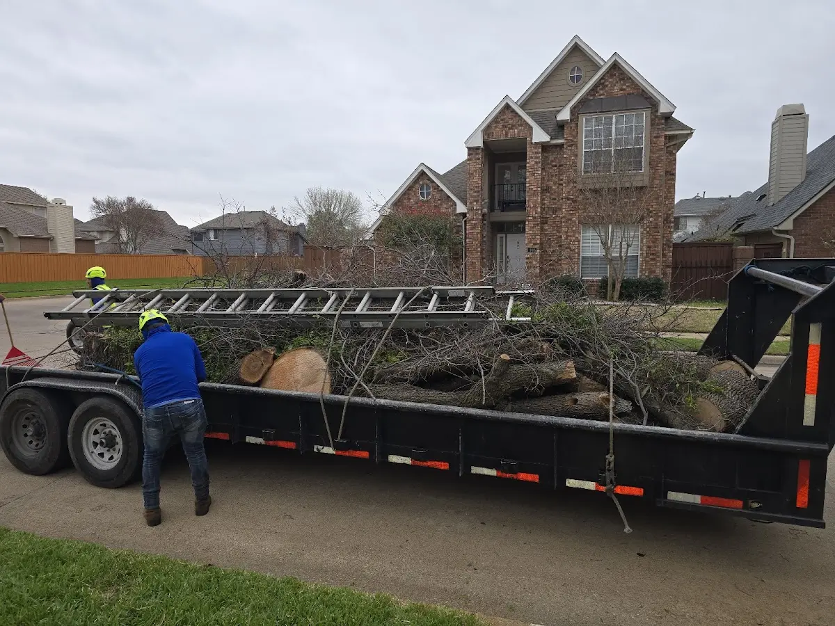 Expert Tree Pest Control with proper safety equipment in Omaha